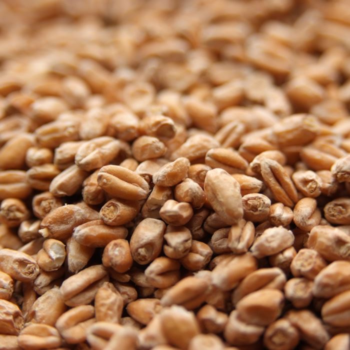 Picture of Weyermann® Pale Wheat Malt