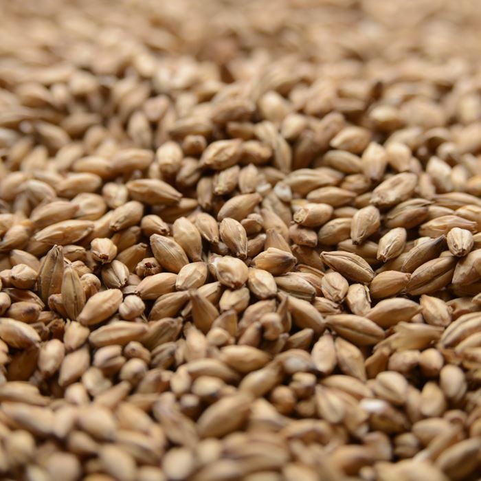 Picture of Simpsons Finest Golden Promise™ Peated Malt