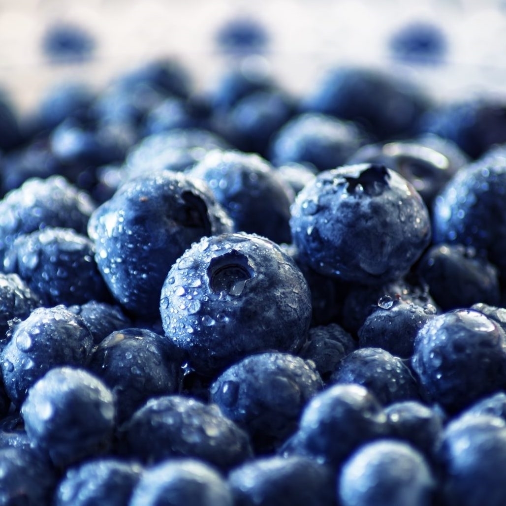 Picture of Blueberry Fruit Powder 11 kg