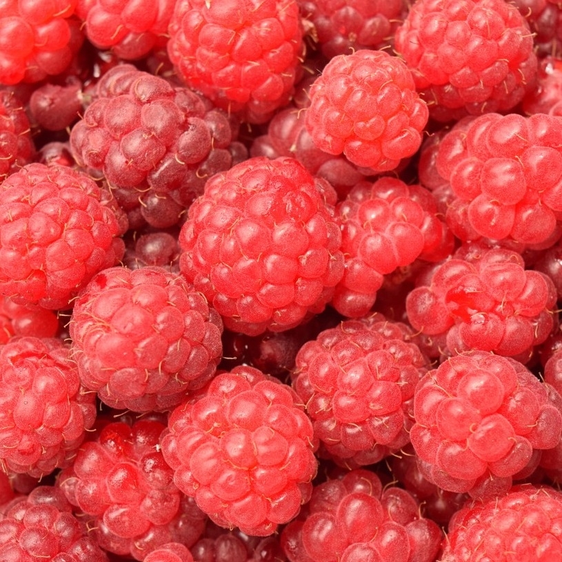 Picture of Kerry Natural Raspberry Flavoring – 5 gal