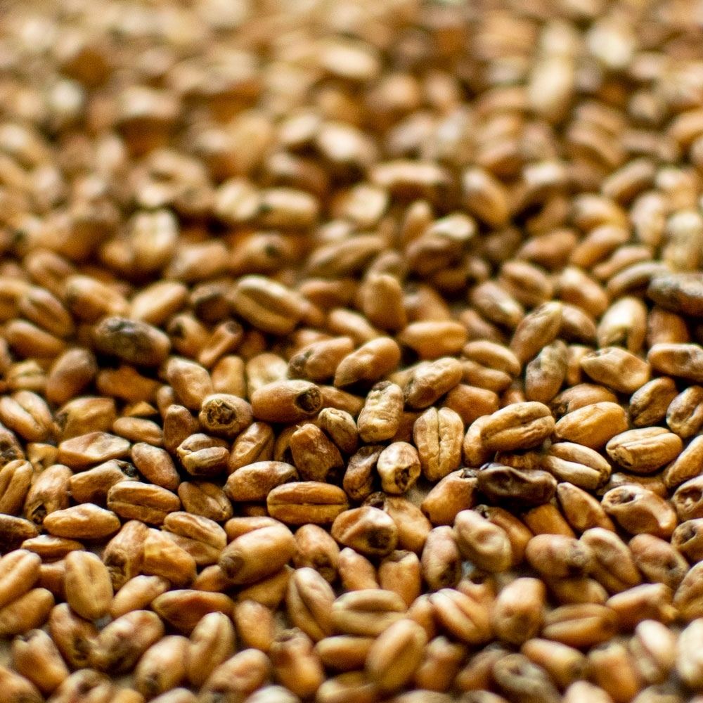 Picture of Dingemans Toasted Wheat
