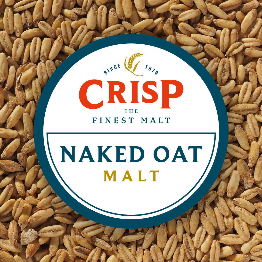 Picture of Crisp Naked Oat Malt